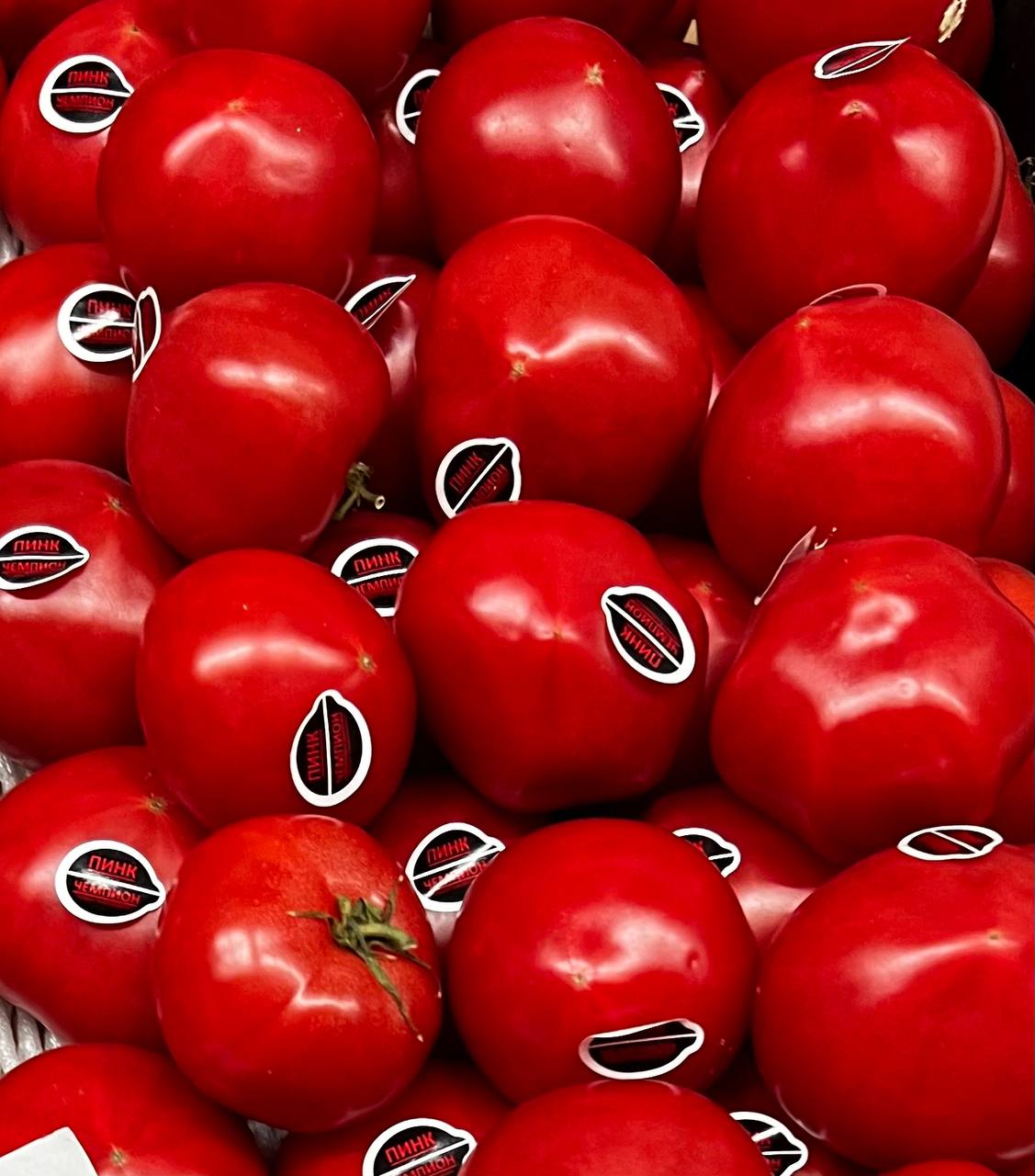 Томаты Азербайджан