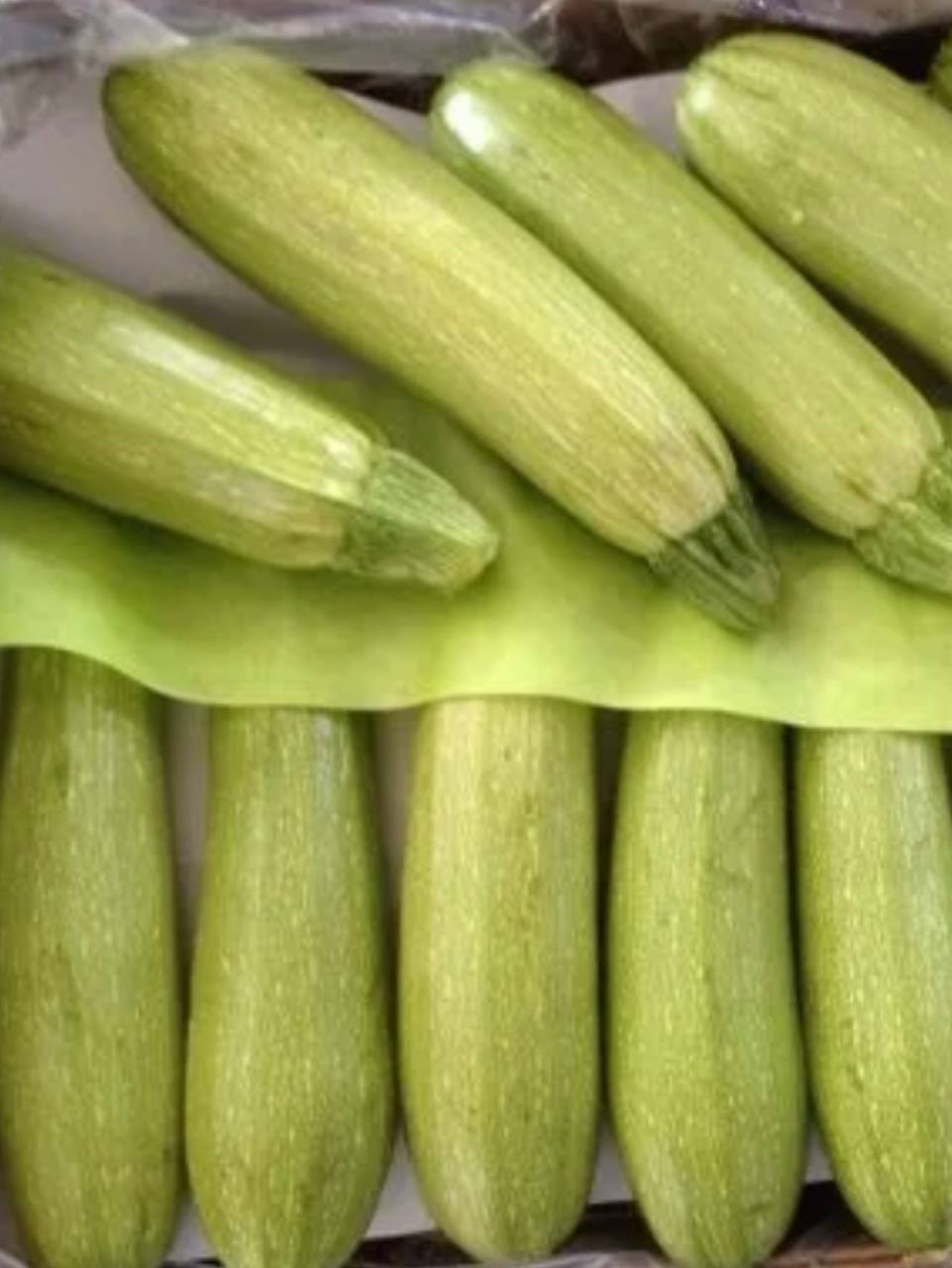 Кабачок Тукция