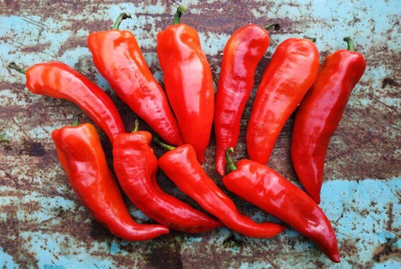 Перец рамиро, Иран