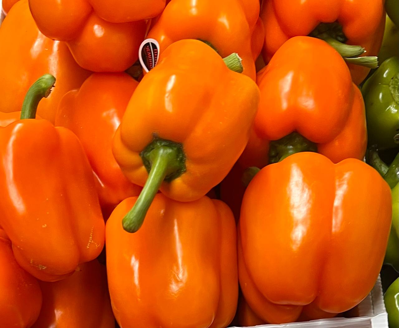 Перец оранжевый, Иран