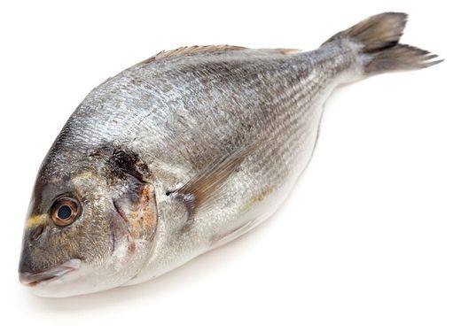 Дорадо 400-600 (Отсутсвует)