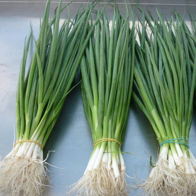 Лук зеленый (Азербайджан)